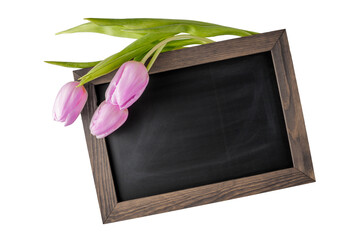 Pink violet tulip flowers on dark chalkboard. Greeting empty floral card mockup
