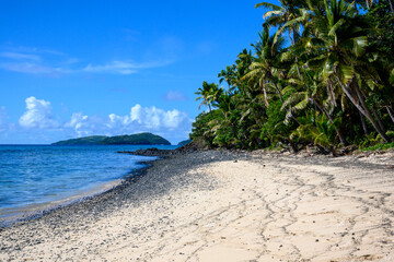 tropical beach with palm trees dravuni island Fiji