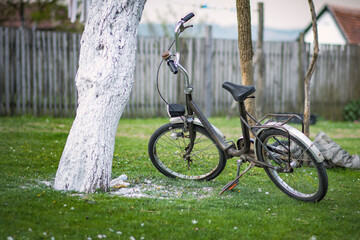 Fototapeta premium Rustic old bicycle standing in the garden in village near the white tree