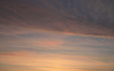 Clear blue sky with glowing pink and golden cirrus and cumulus clouds. Sunrise. Dramatic...