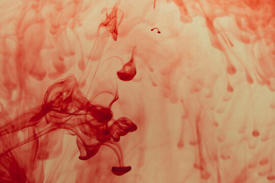 Red ink in the water abstract background. swirls of paint in liquid