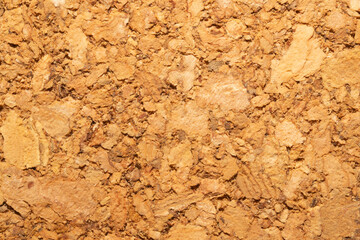 Cork background macro. corkwood texture. wooden backdrop