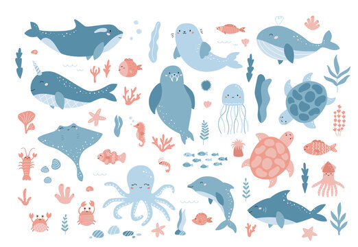 Vector set of ocean underwater animals. Cute cartoon dolphin, seal, narwhal, whale, turtle, shark, octopus and sea plants. Flat cartoon characters on white background.
