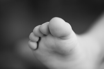 Kids leg