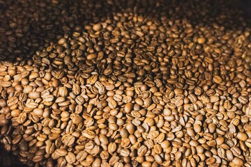 Coffee Beans