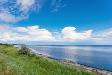 Beautiful wild sea beach covered with green grass
