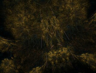 Imaginatory fractal abstract background Image