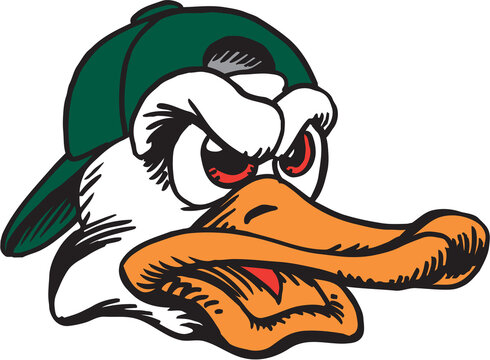 Duck Mascot Head Vector Illustration