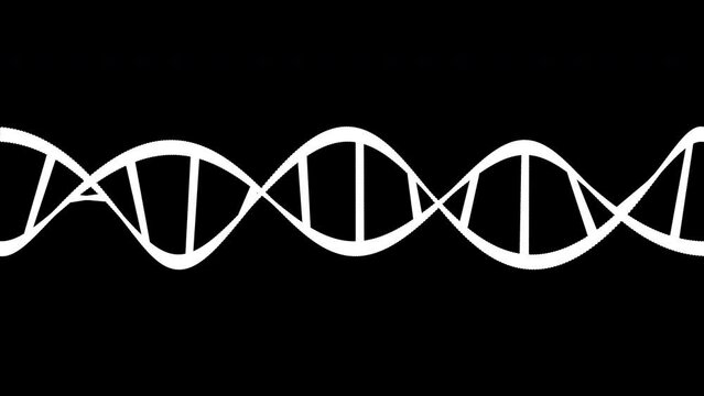 Black and White DNA Animation Seamless Loops on Black Background and Green Screen