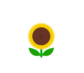 Sunflower vector isolated icon. Emoji illustration. Sunflower vector emoticon