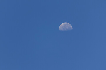 Waxing moon phase. Nature stunning.