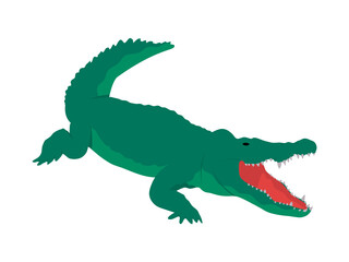 Crocodile illustration. Flat design wild animal. Green aligator with open mouth, isolated on a white background.