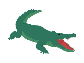 Crocodile illustration. Flat design wild animal. Green aligator with open mouth, isolated on a white background. Vector.