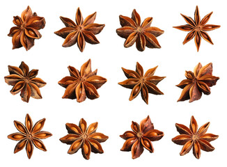 Set with dry anise anise stars on white background