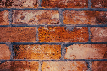 Close up on a wall made of old bricks