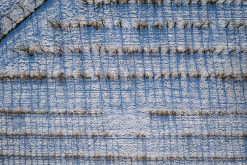 Drone high angle photo of apple orchards covered with snow, Rogow village, Lodz Province of Poland