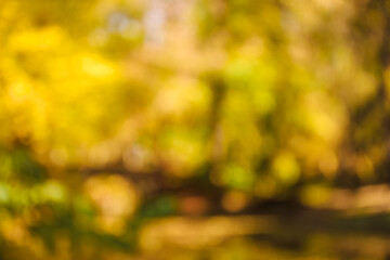 Naklejka na ściany i meble Blurred view of autumn trees, lake and bridge in park