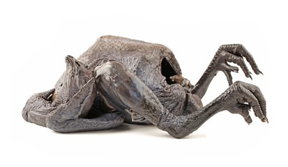 Whole Black Chicken, Silkie, Isolated On White Background