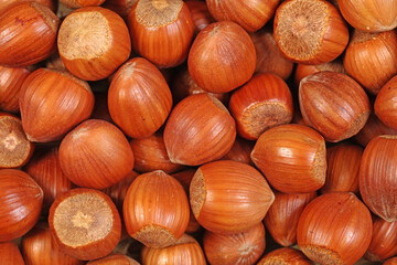 Hazelnuts  background
