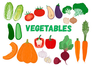 juicy ripe vegetables