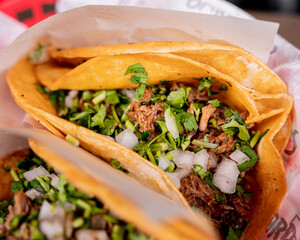 Delicious Mexican style birria tacos