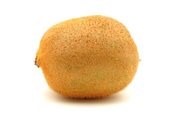 Whole and cut golden kiwifruit/ kiwi (Actinidia chinensis) on white background