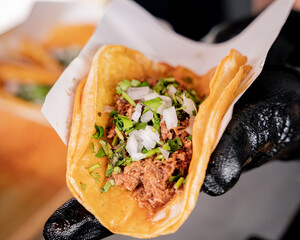 Delicious Mexican style birria tacos