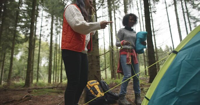 Friends pitching their tent in a 
forest