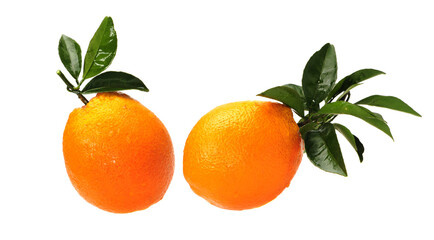 oranges fruit with leaves