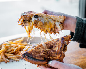 delicious mexican style grilled cheese birria