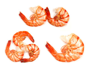 shrimps on a white background