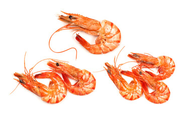 shrimps on a white background
