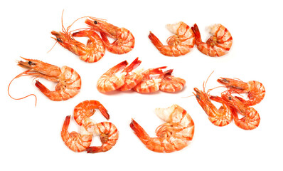 shrimps on a white background
