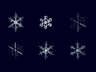 いろいろな形の雪の結晶