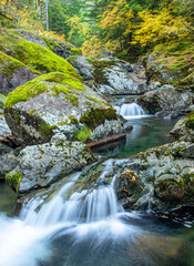 colorful fall leaves and waterfall in Oregon Pacific North West