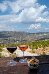 Wine industry of Cyprus island, tasting of red and rose dry wines on winery with view on vineyards and south slopes of Troodos mountain range.