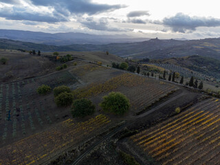 View on hills of Val d'Orcia near Bagno Vignoni, Tuscany, Italy. Tuscan landscape with cypress trees, vineyards, forests and ploughed fields in autumn.