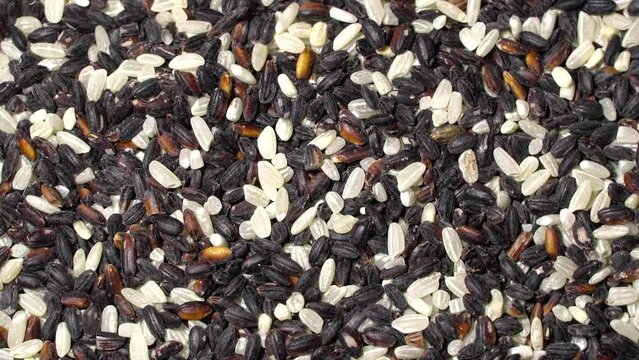 Brown and white rice seeds rotation background. Close up
