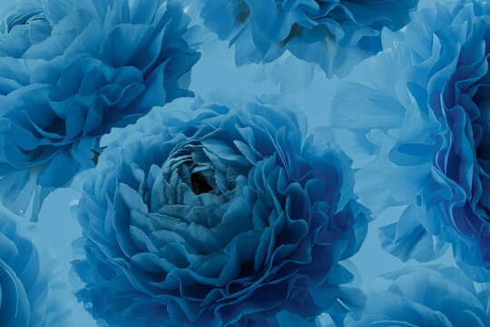Blue flowers buds on blue background. Floral pattern.
