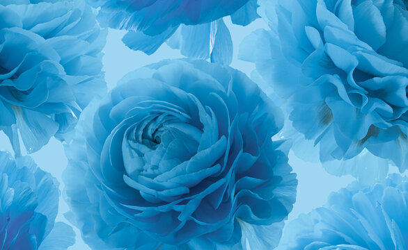 Blue flowers buds on blue background. Floral pattern.