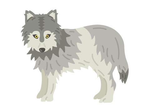 オオカミ Images Browse 2 064 Stock Photos Vectors And Video Adobe Stock
