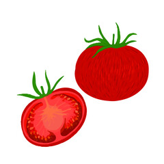 vector illustration delicious juicy vegetables food for health
tomato