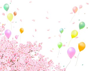 美しく華やかな花びら舞い散る春の桜と風船の飛ぶ白バックフレーム背景素材