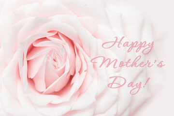 Close up white pink rose flower, delicate macro petals pastel colors, aesthetic floral background. Fresh tenderness bloom rose, text Happy Mothers Day. Soft focus flowery card for women day.