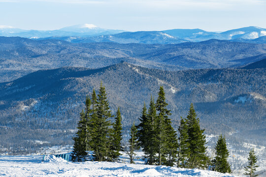 Natural Winter landscape in Sheregesh ski resort in Russia, Kemerovo. Green conifer fir trees on top of mount against background of mountain peaks. Winter nature view, cold weather