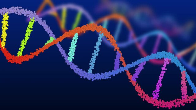 Colourful DNA Composition Animation Seamless Loops on Black Background and Green Screen