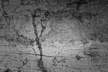 Wood cracked and dust background.