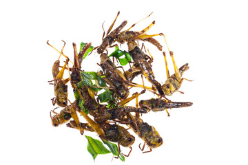 Obraz premium Fry grasshopper thai snack food on white background.