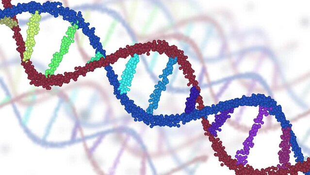 Colourful DNA with Particle Background Animation Seamless Loops on White Background and Green Screen