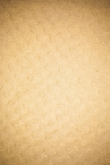 Obraz premium Brown mulberry paper.